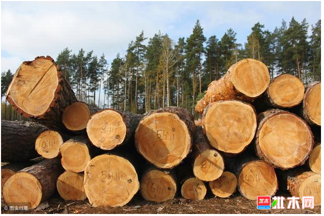 anywood.com