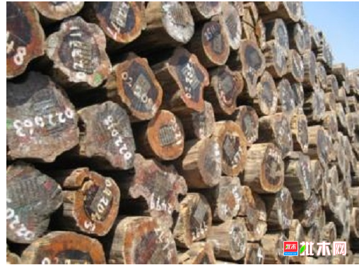 anywood.com