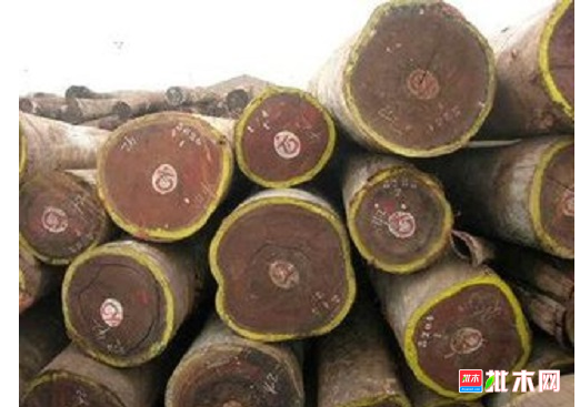 anywood.com