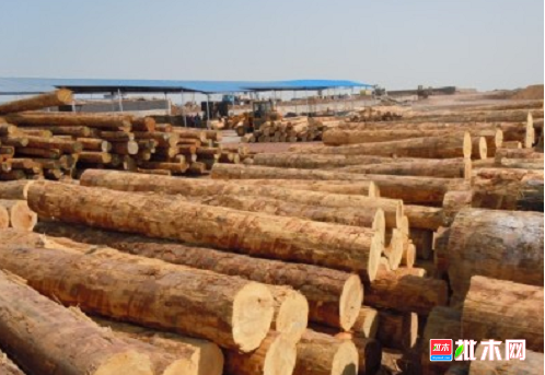 anywood.com