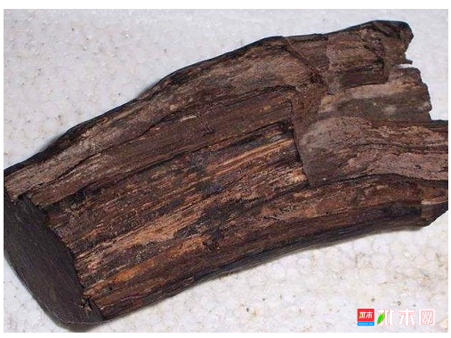 anywood.com