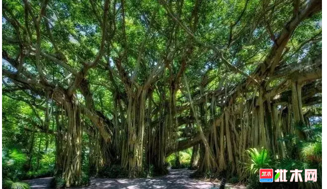 anywood.com