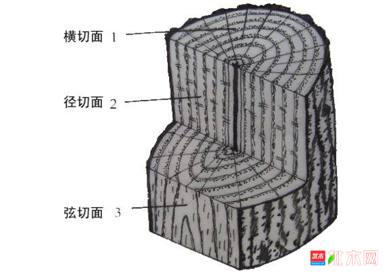 anywwood.com