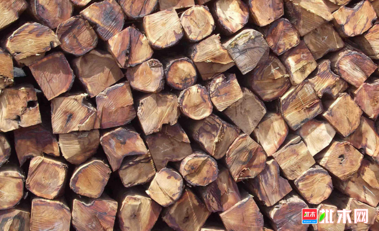 anywood.com
