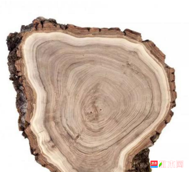 anywood.com