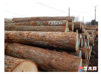 anywood.com