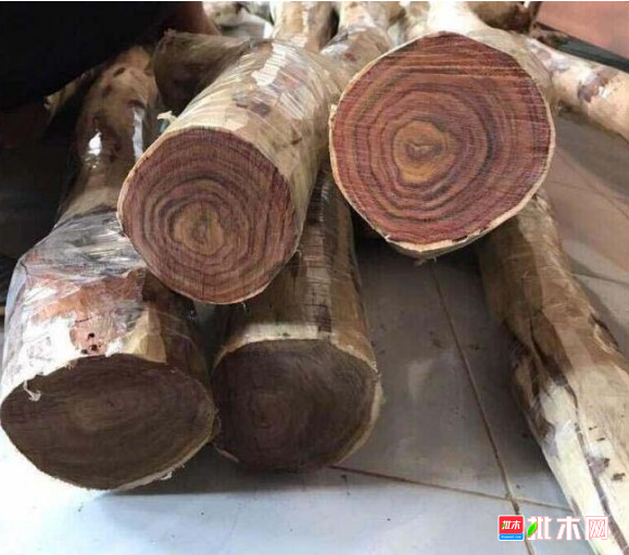 anywood.com
