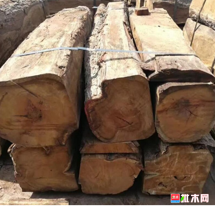 anywood.com