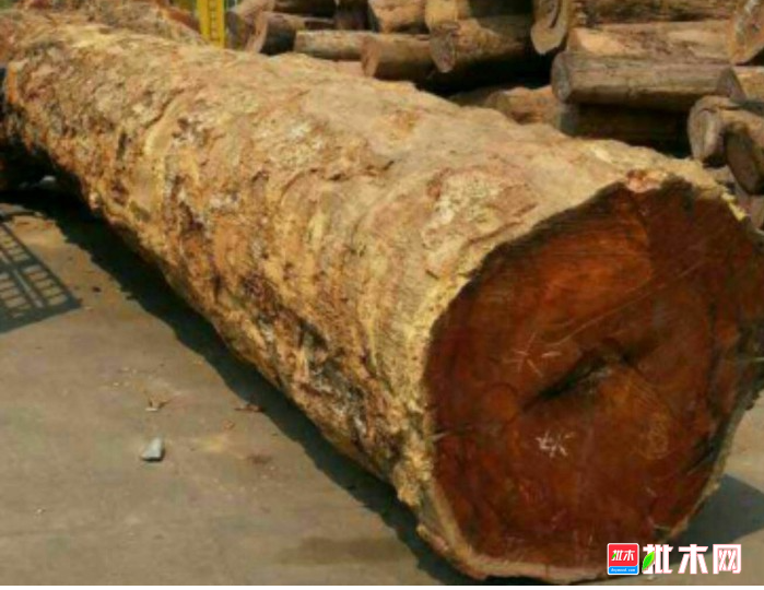 anywood.com