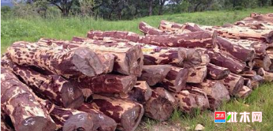 anywood.com