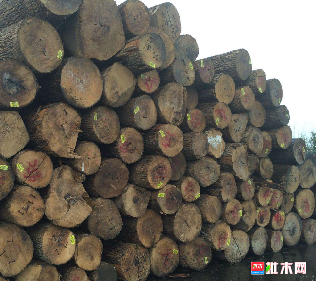 anywood.com