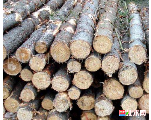 anywood.com