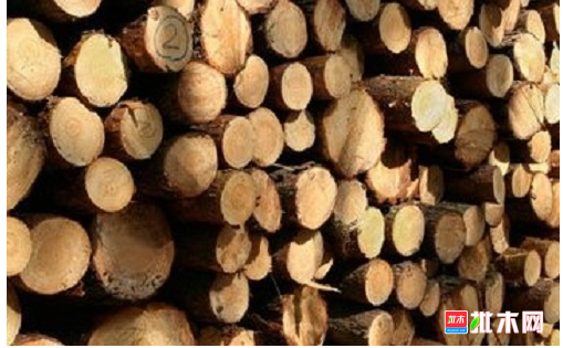 anywood.com