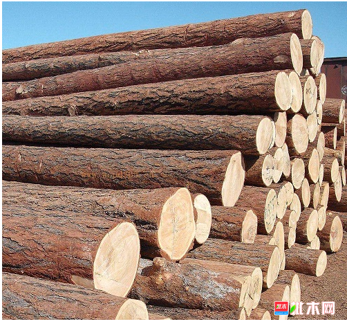 anywood.com