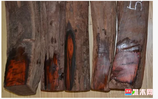 anywood.com