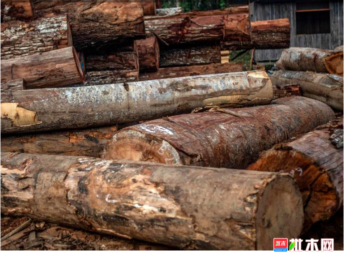 anywood.com