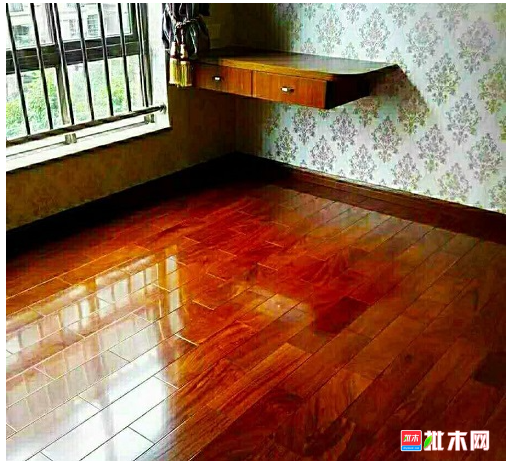 anywood.com