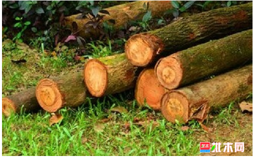 anywood.com