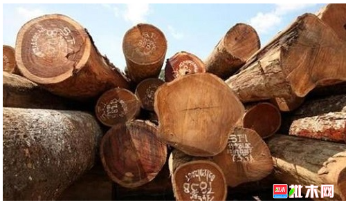 anywood.com