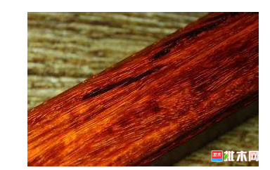 anywood.com