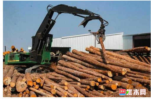 anywood.com