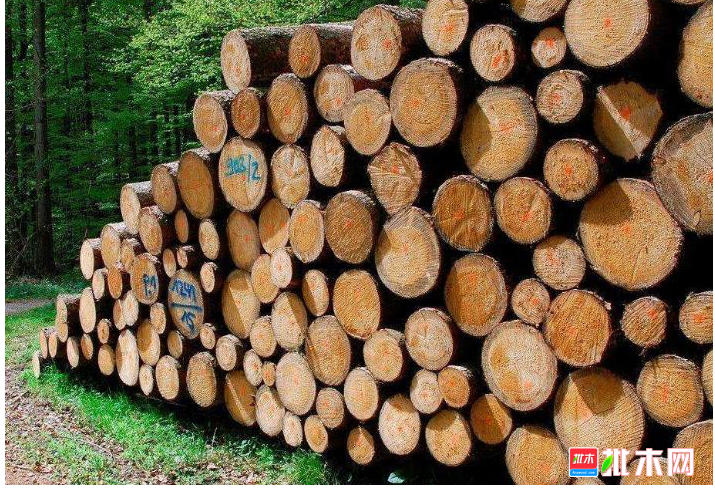 anywood.com