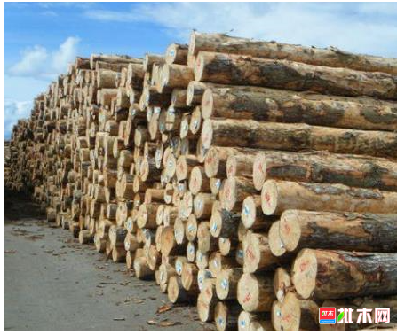 anywood.com