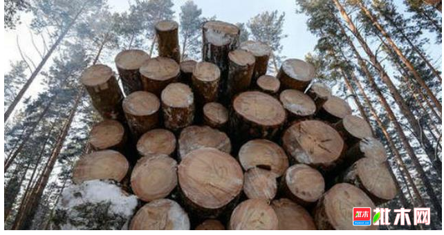 anywood.com