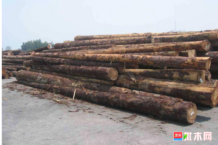 anywood.com