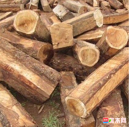 anywood.com