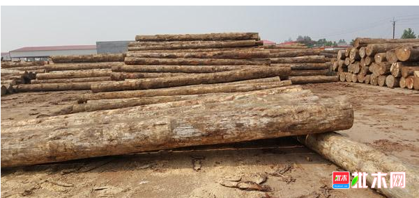 anywood.com
