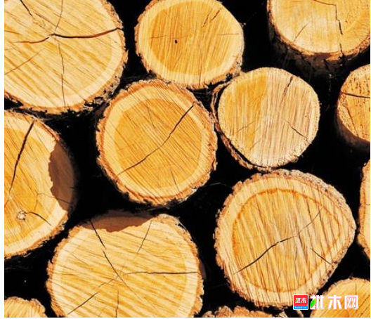 anywood.com