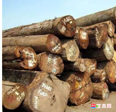 anywood.com