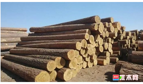 anywood.com