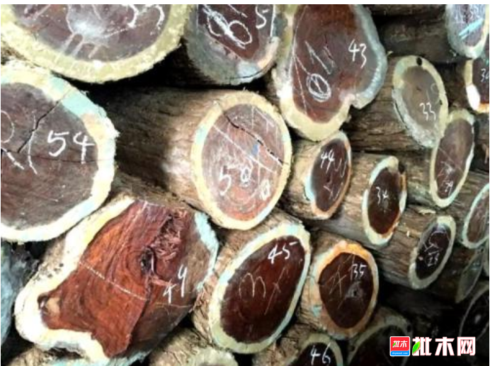 anywood.com
