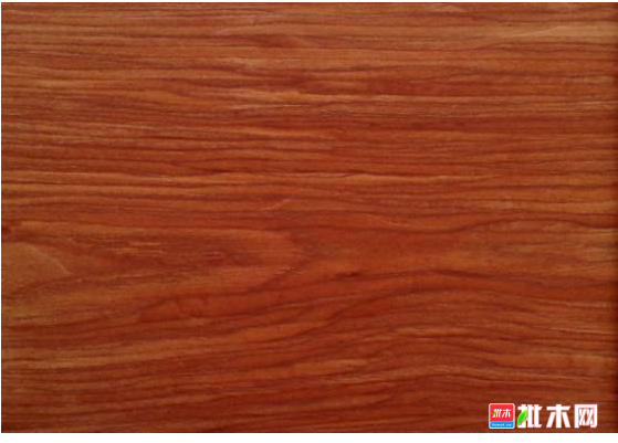 anywood.com