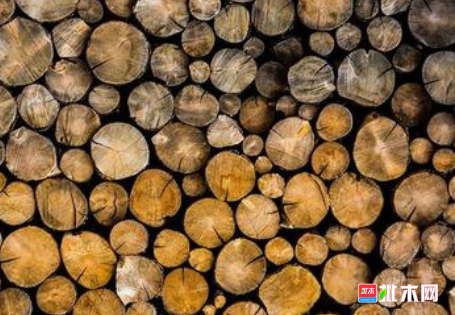 anywood.com