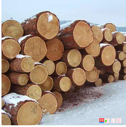 anywood.com