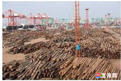 anywood.com