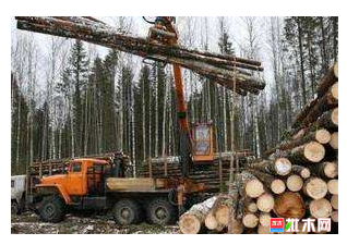 anywood.com