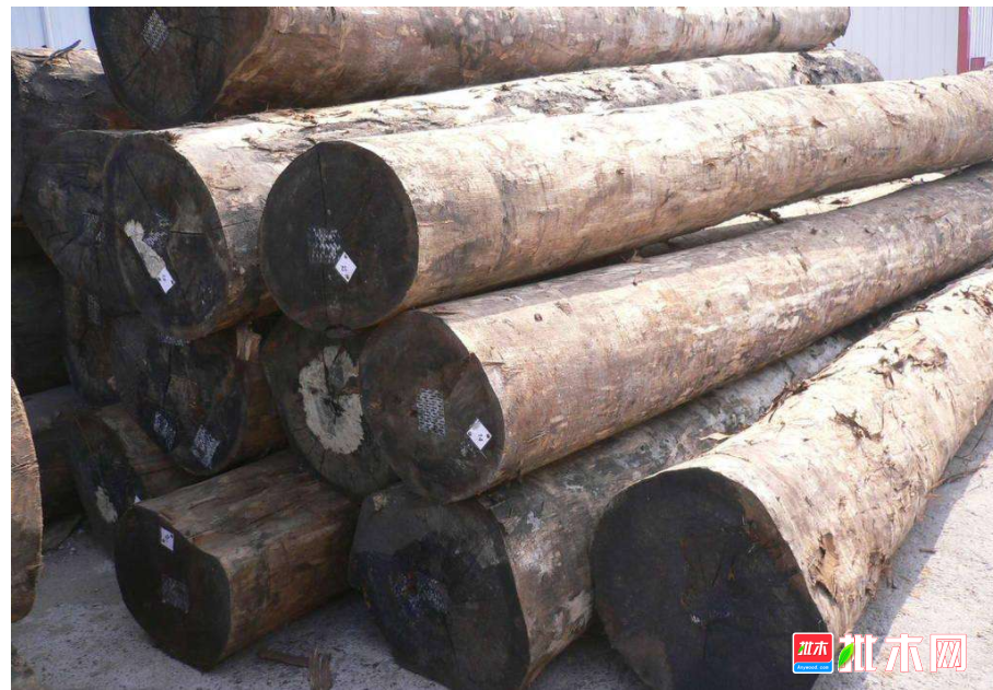 anywood.com