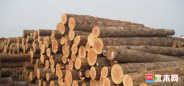 anywood.com
