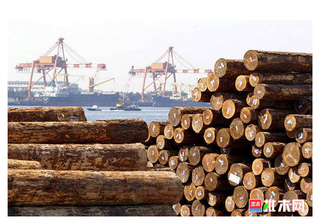 anywood.com