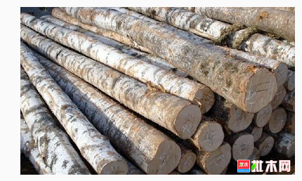 anywood.com