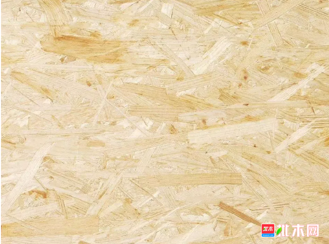 anywood.com