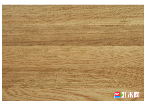 anywood.com