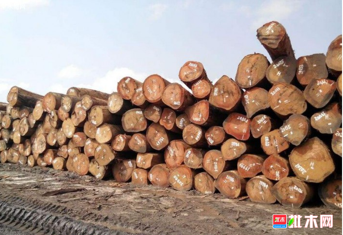 anywood.com