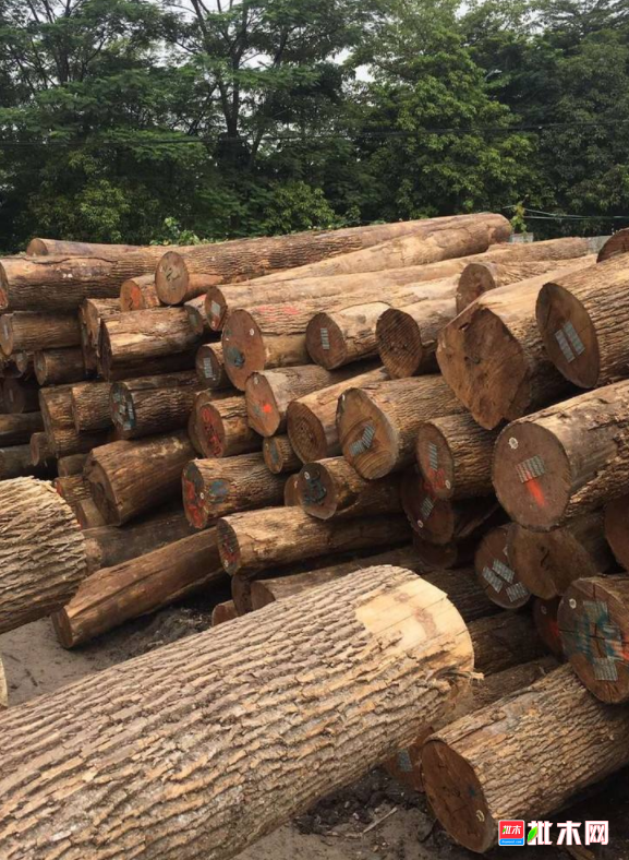 anywood.com