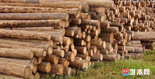 anywood.com