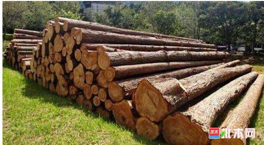 anywood.com